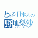 とある日本人の野地梨沙（インデックス）