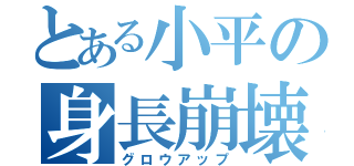 とある小平の身長崩壊（グロウアップ）