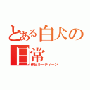 とある白犬の日常（休日ルーティーン）