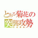 とある菊花の突襲攻勢（青蛙無敵）