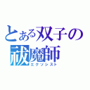 とある双子の祓魔師（エクソシスト）