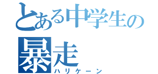 とある中学生の暴走（ハリケーン）