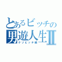 とあるビッチの男遊人生Ⅱ（クソビッチ編）