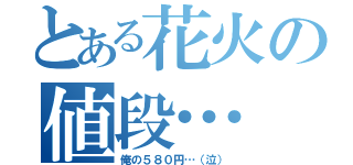 とある花火の値段…（俺の５８０円…（泣））