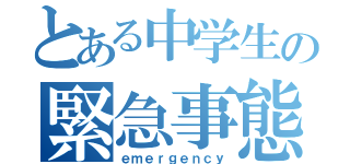 とある中学生の緊急事態（ｅｍｅｒｇｅｎｃｙ）