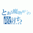 とある魔物使いの敵討ち（天空の花嫁）