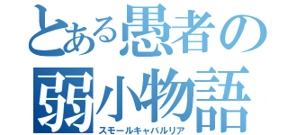 とある愚者の弱小物語（スモールキャバルリア）