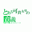 とある可貴友情の意義（エクスソード）