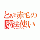 とある赤毛の魔法使い（メアリ・スミス）