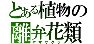 とある植物の離弁花類（ヤマザクラ）