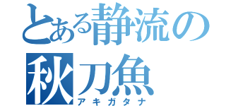 とある静流の秋刀魚（アキガタナ）