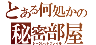 とある何処かの秘密部屋（シークレットファイル）