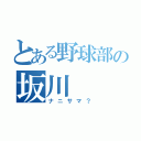 とある野球部の坂川（ナニサマ？）