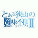 とある狭山の意味不明Ⅱ（コバヤシコウヤ）