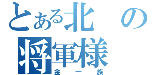 とある北の将軍様（金一族）