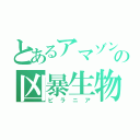 とあるアマゾンの凶暴生物（ピラニア）