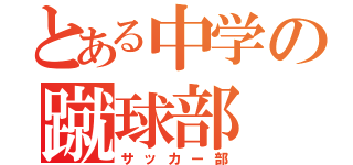 とある中学の蹴球部（サッカー部）