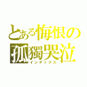 とある悔恨の孤獨哭泣（インデックス）