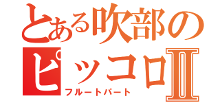 とある吹部のピッコロ奏者Ⅱ（フルートパート）