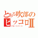 とある吹部のピッコロ奏者Ⅱ（フルートパート）