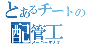 とあるチートの配管工（スーパーマリオ）