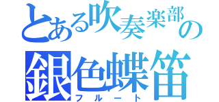 とある吹奏楽部の銀色蝶笛（フルート）