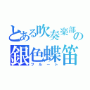 とある吹奏楽部の銀色蝶笛（フルート）