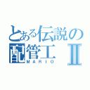 とある伝説の配管工Ⅱ（ＭＡＲＩＯ）