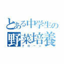 とある中学生の野菜培養（クローン）