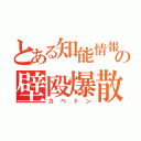 とある知能情報の壁殴爆散（カベドン）