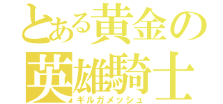 とある黄金の英雄騎士（ギルガメッシュ）