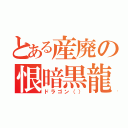 とある産廃の恨暗黒龍（ドラゴン（））