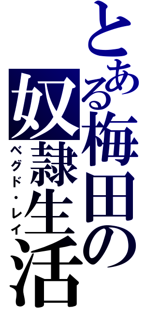 とある梅田の奴隷生活（ベグド・レイ）