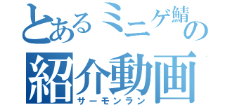 とあるミニゲ鯖の紹介動画（サーモンラン）