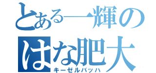 とある一輝のはな肥大（キーゼルバッハ）