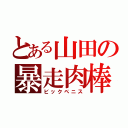 とある山田の暴走肉棒（ビックペニス）