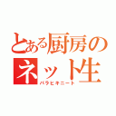 とある厨房のネット生活（パラヒキニート）