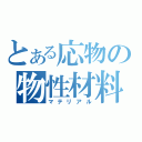 とある応物の物性材料（マテリアル）