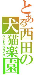 とある西田の犬猫楽園（ペットパラダイス）