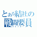 とある結社の戦闘要員（ショッカー）