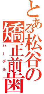 とある松谷の矯正前歯（ハーデル）