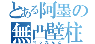 とある阿墨の無凸壁柱（ぺったんこ）