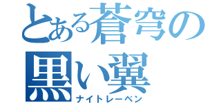 とある蒼穹の黒い翼（ナイトレーベン）