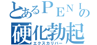 とあるＰＥＮＩＳＵの硬化勃起（エクスカリバー）