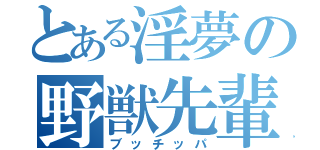 とある淫夢の野獣先輩（ブッチッパ）