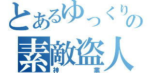 とあるゆっくりの素敵盗人生活実況（神業）