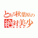 とある秋葉原の絶対美少女（渡辺麻友）