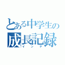 とある中学生の成長記録（インデ）