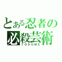 とある忍者の必殺芸術（ＴＯＤＯＭＥ）