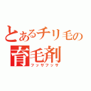 とあるチリ毛の育毛剤（フッサフッサ）